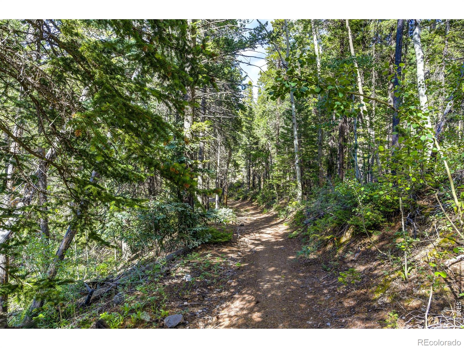 3153 Ridge Road Nederland CO 80466