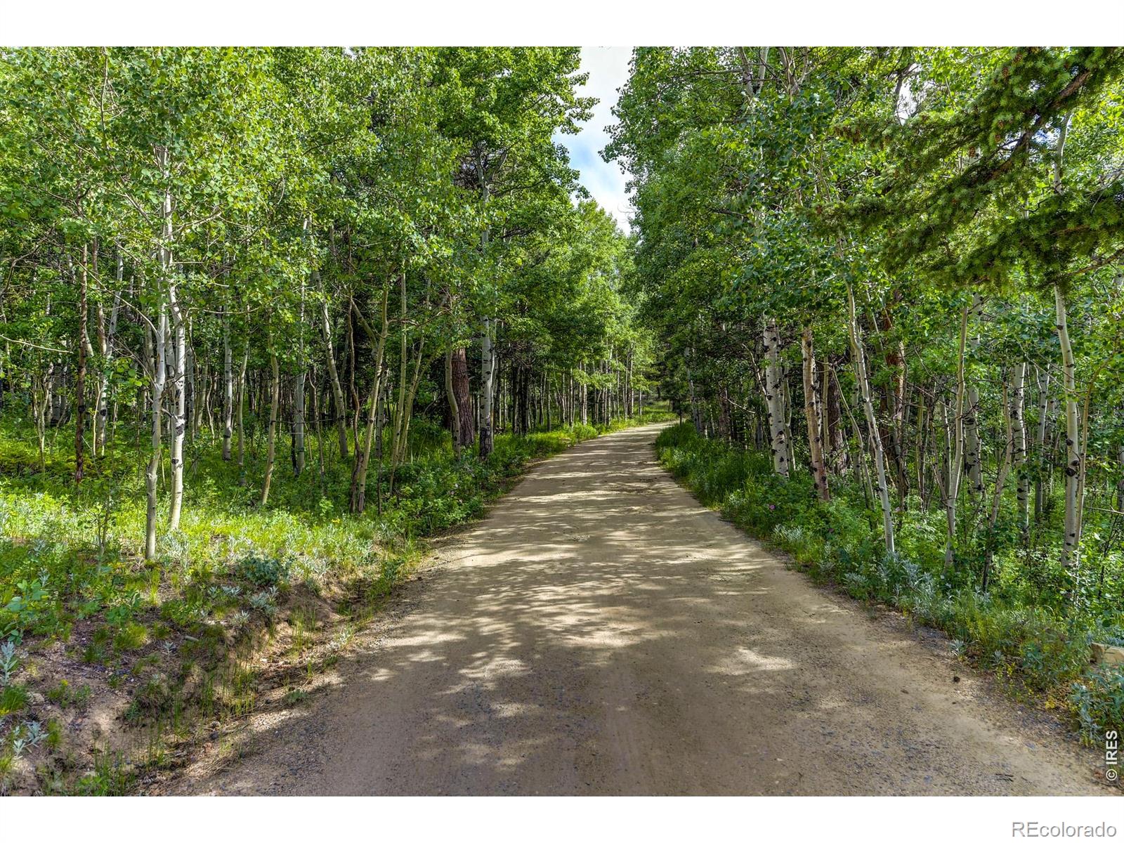 3153 Ridge Road Nederland CO 80466