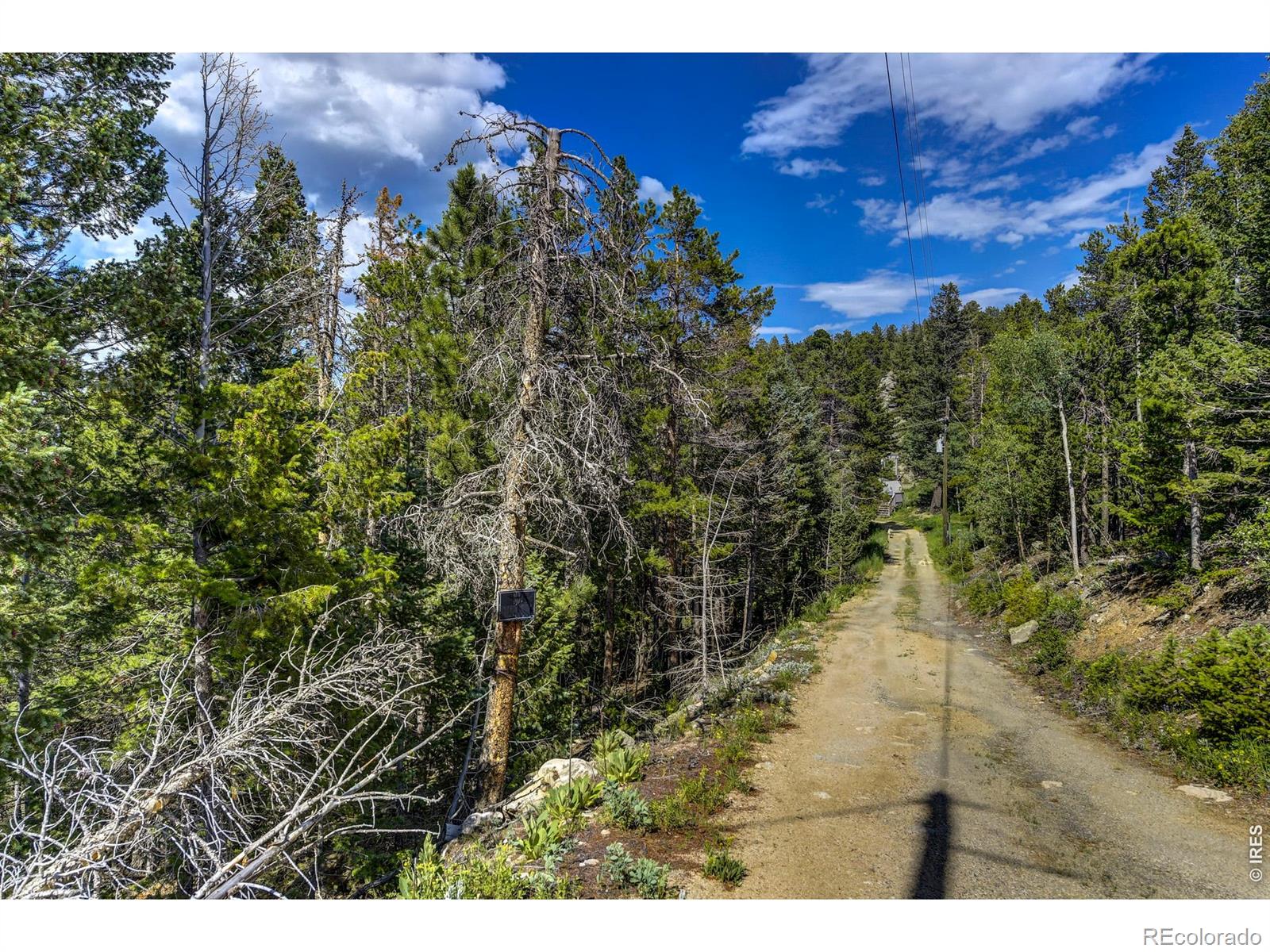 3153 Ridge Road Nederland CO 80466
