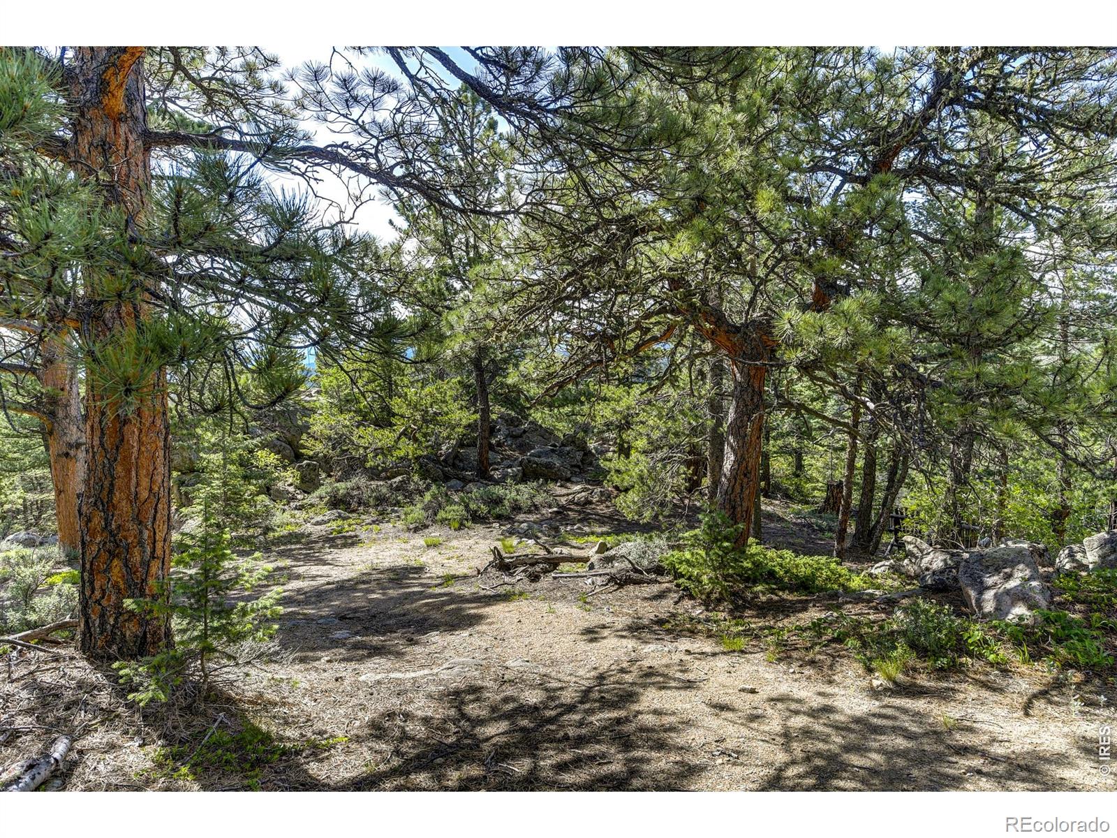 3153 Ridge Road Nederland CO 80466