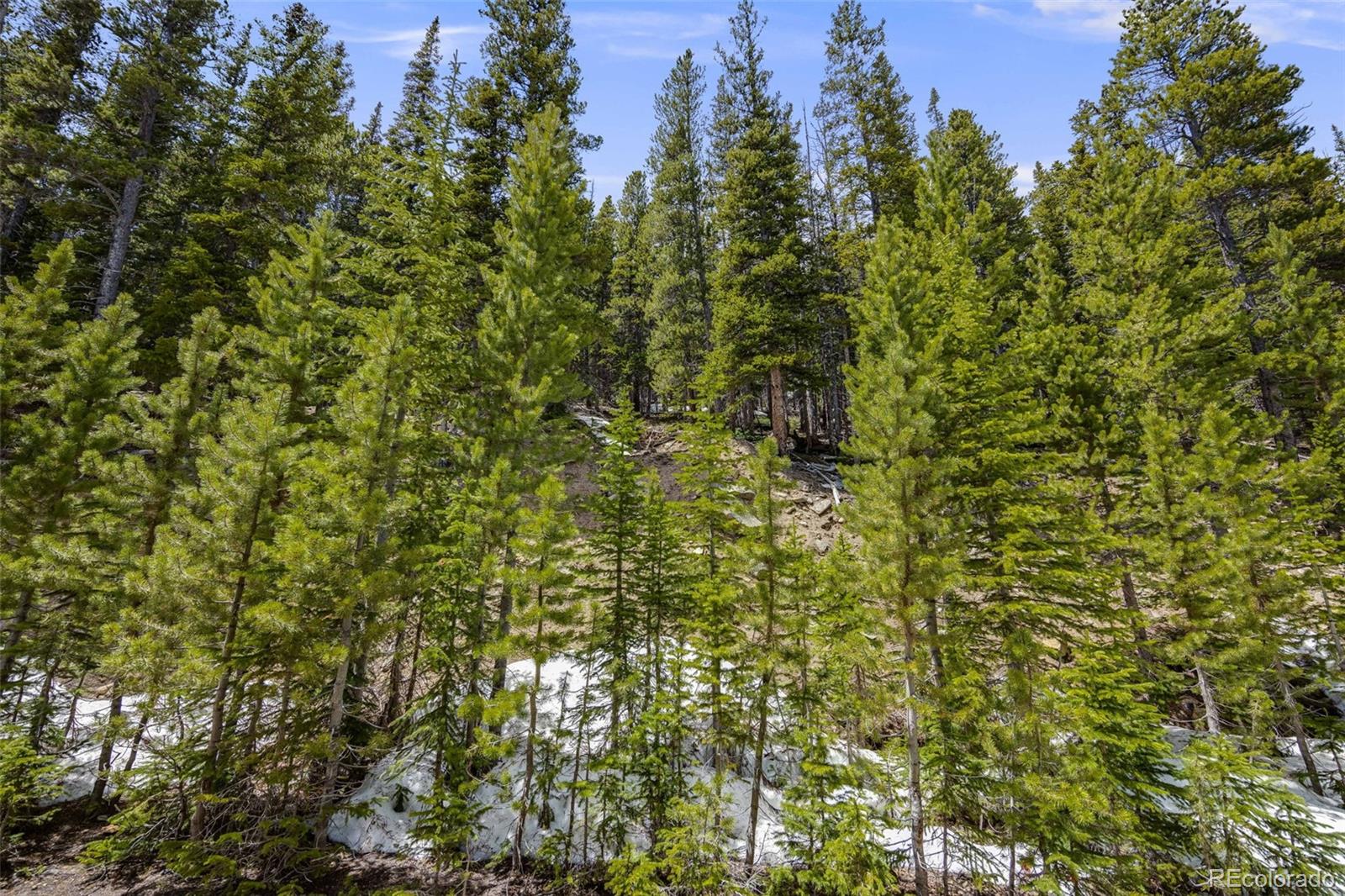 1 Nebraska Circle Idaho Springs CO 80452