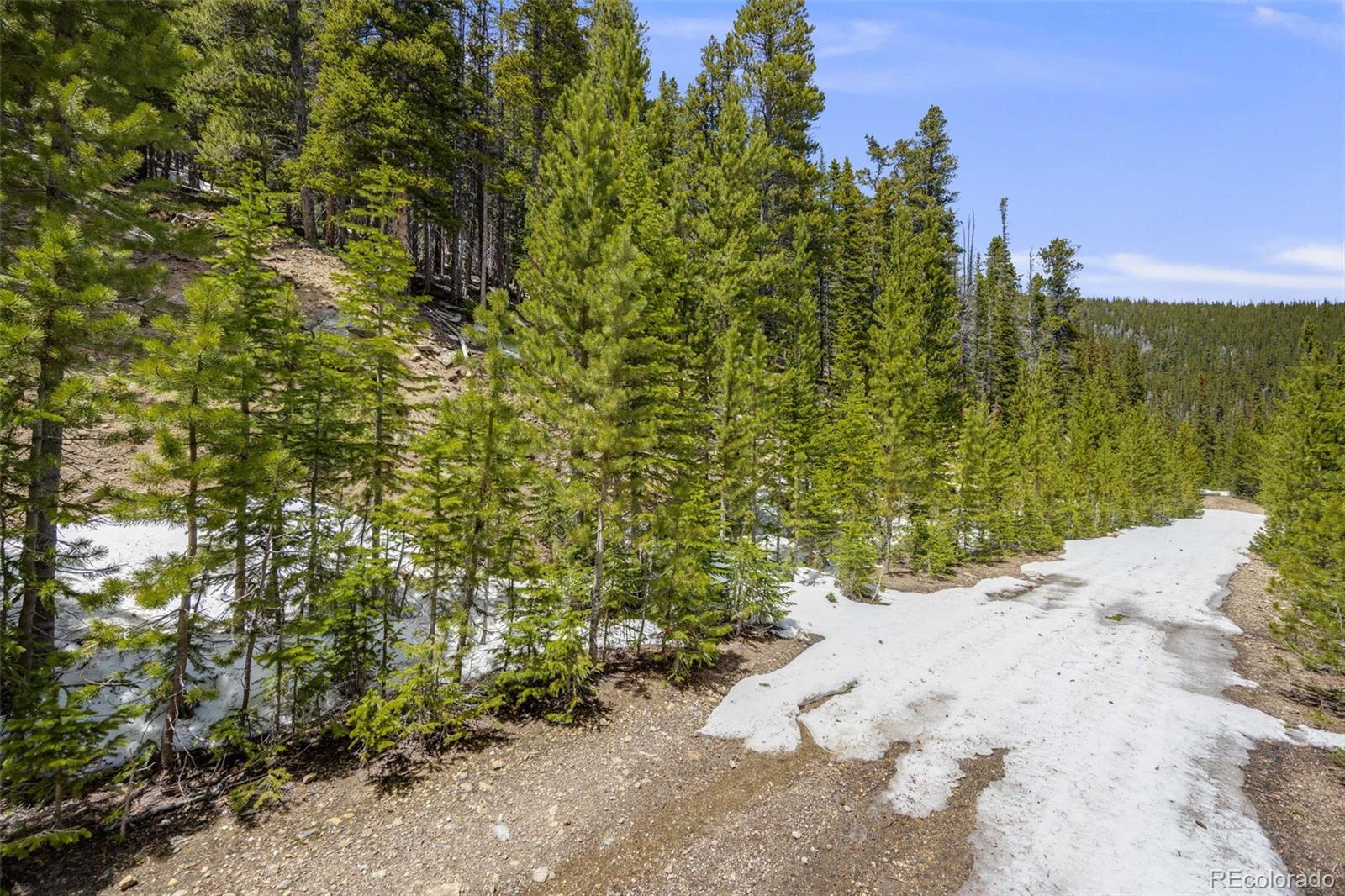 1 Nebraska Circle Idaho Springs CO 80452