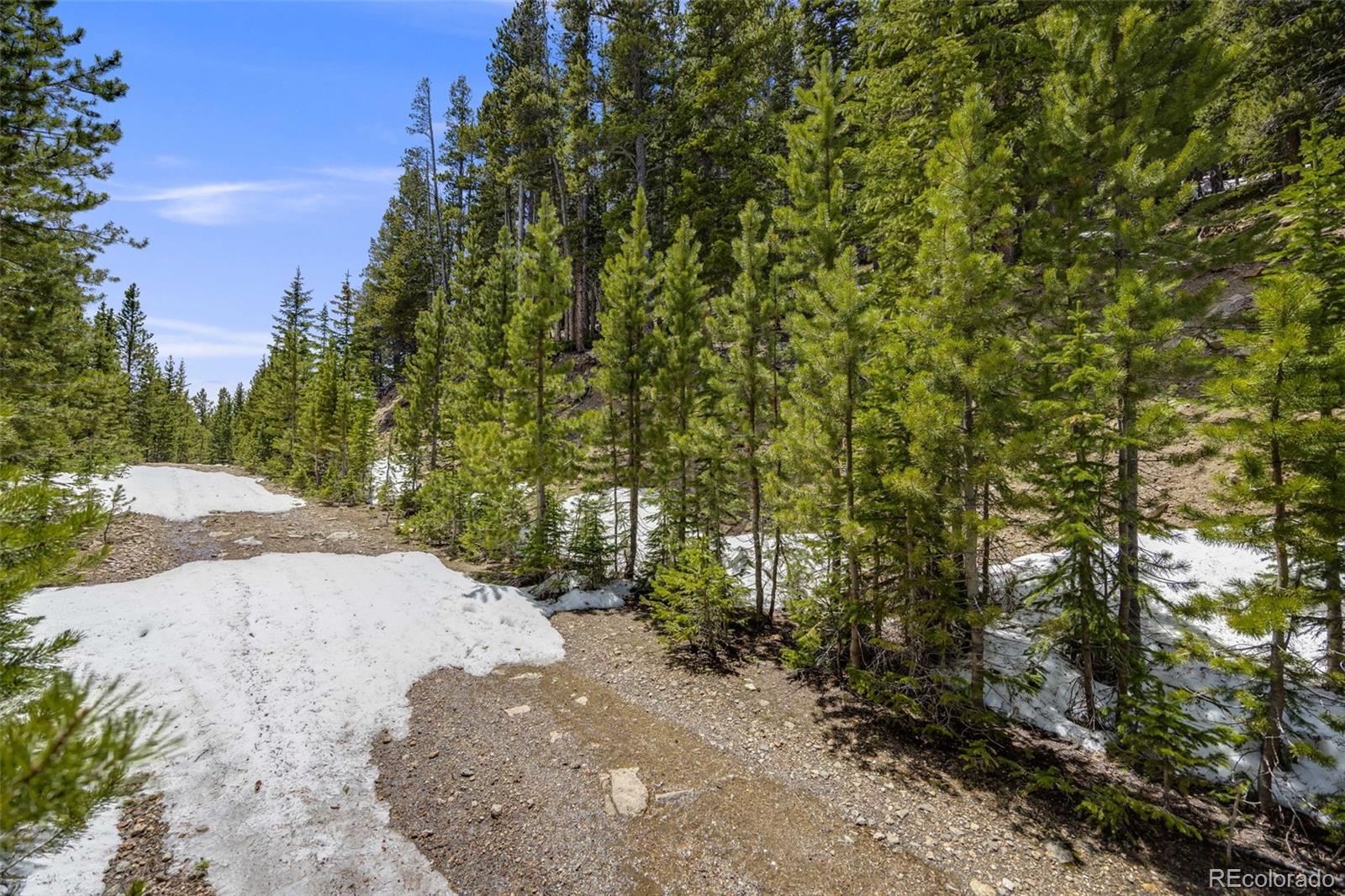 1 Nebraska Circle Idaho Springs CO 80452