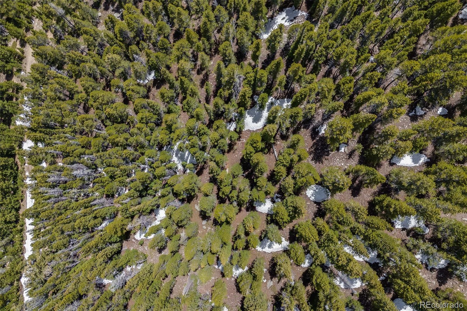 1 Nebraska Circle Idaho Springs CO 80452