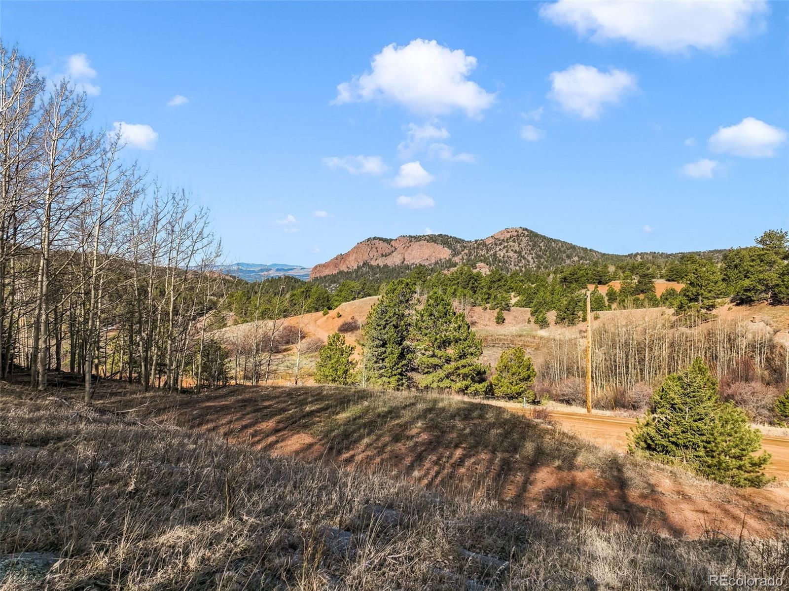 690 Anges Drive Cripple Creek CO 80813