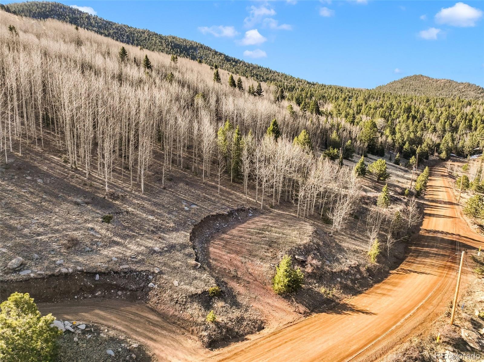690 Anges Drive Cripple Creek CO 80813