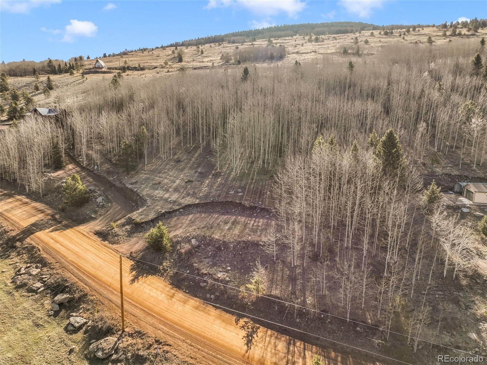 690 Anges Drive Cripple Creek CO 80813