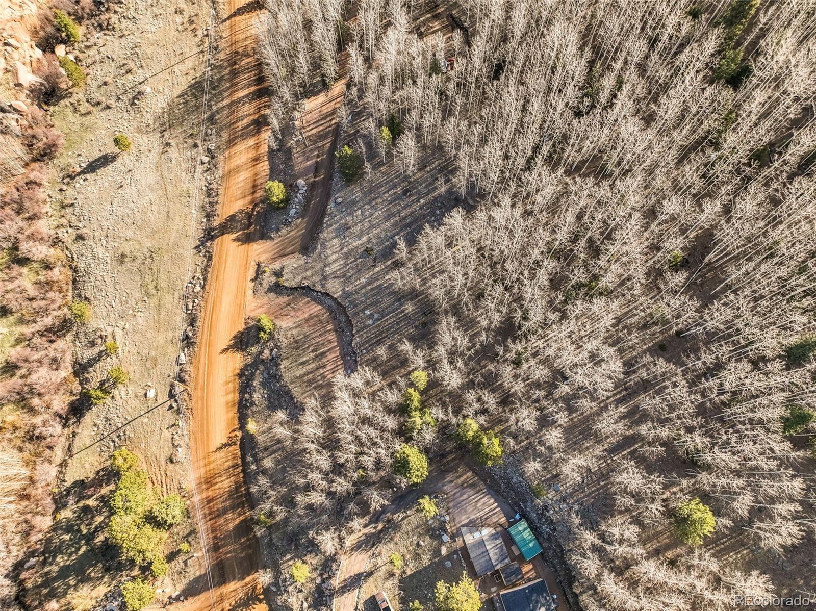 690 Anges Drive Cripple Creek CO 80813