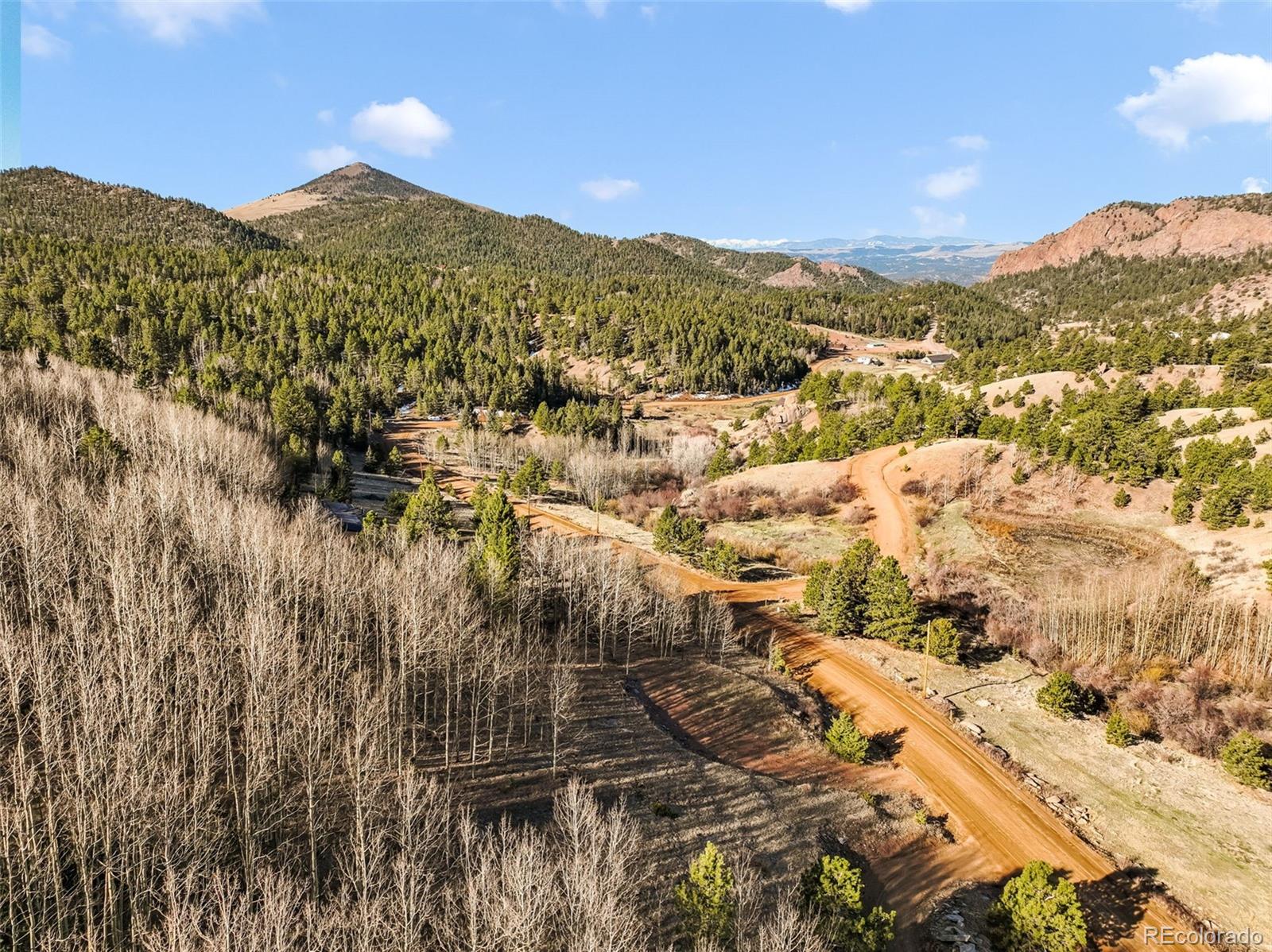 690 Anges Drive Cripple Creek CO 80813
