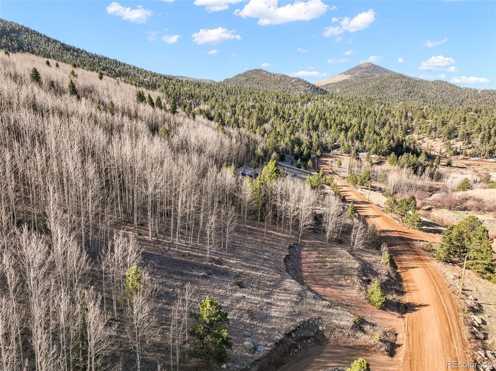 690 Anges Drive Cripple Creek CO 80813