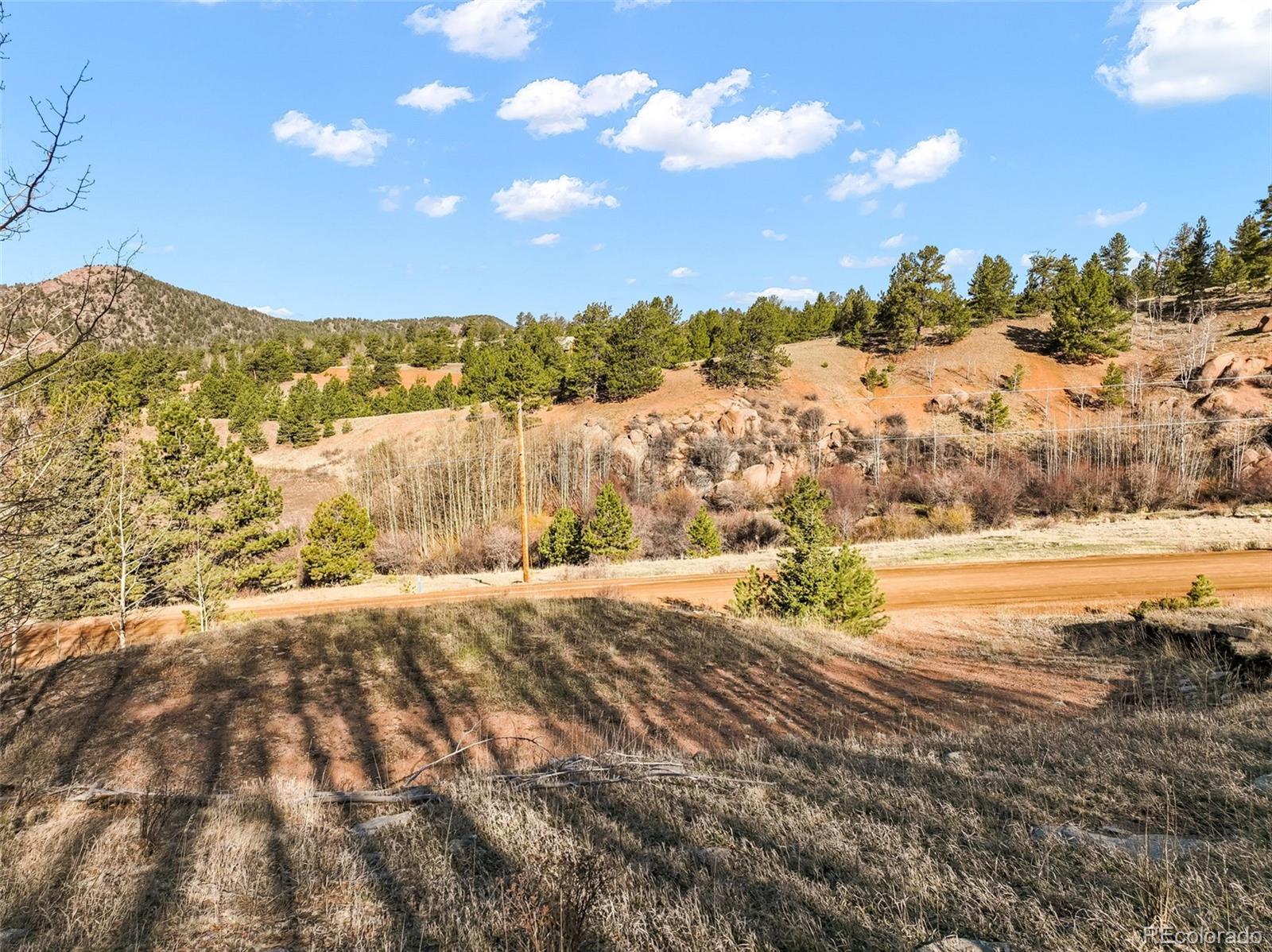 690 Anges Drive Cripple Creek CO 80813