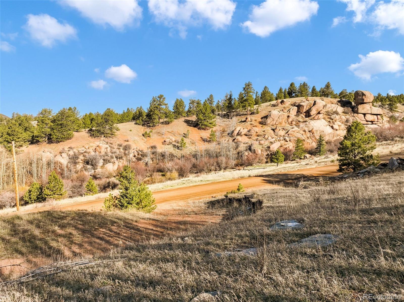 690 Anges Drive Cripple Creek CO 80813