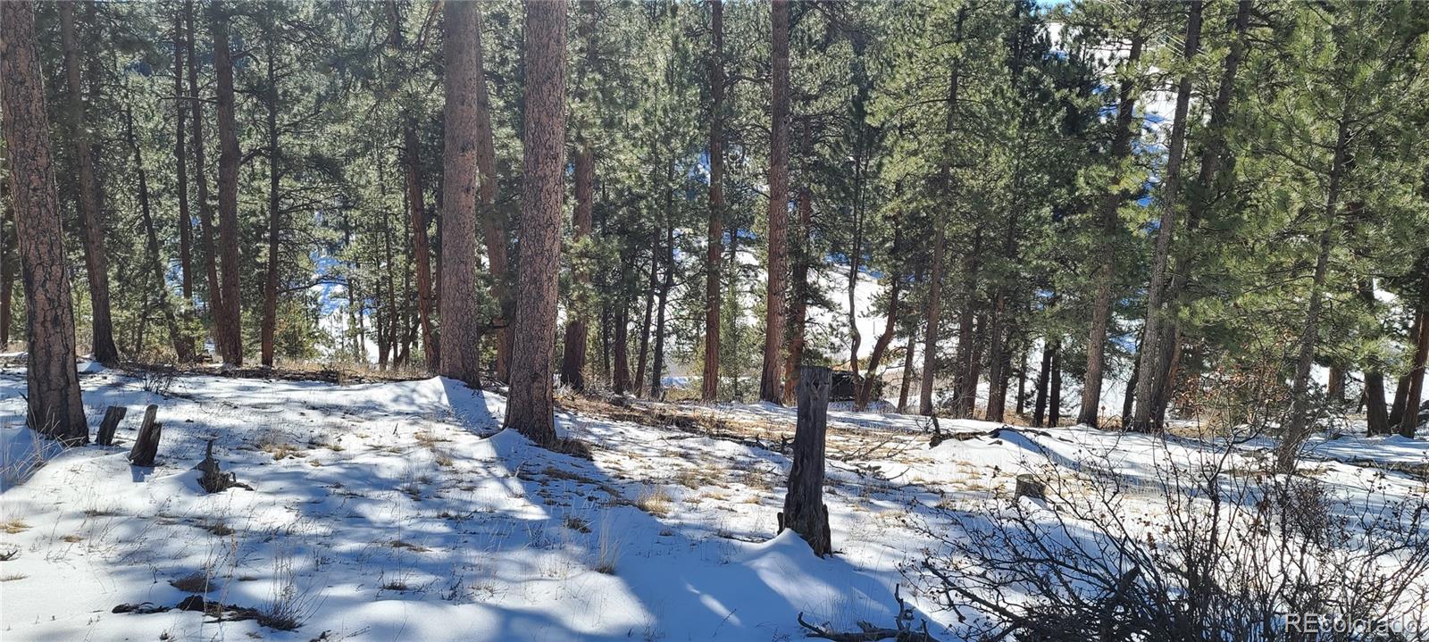 1493 Pinedale Ranch Circle Evergreen CO 80439