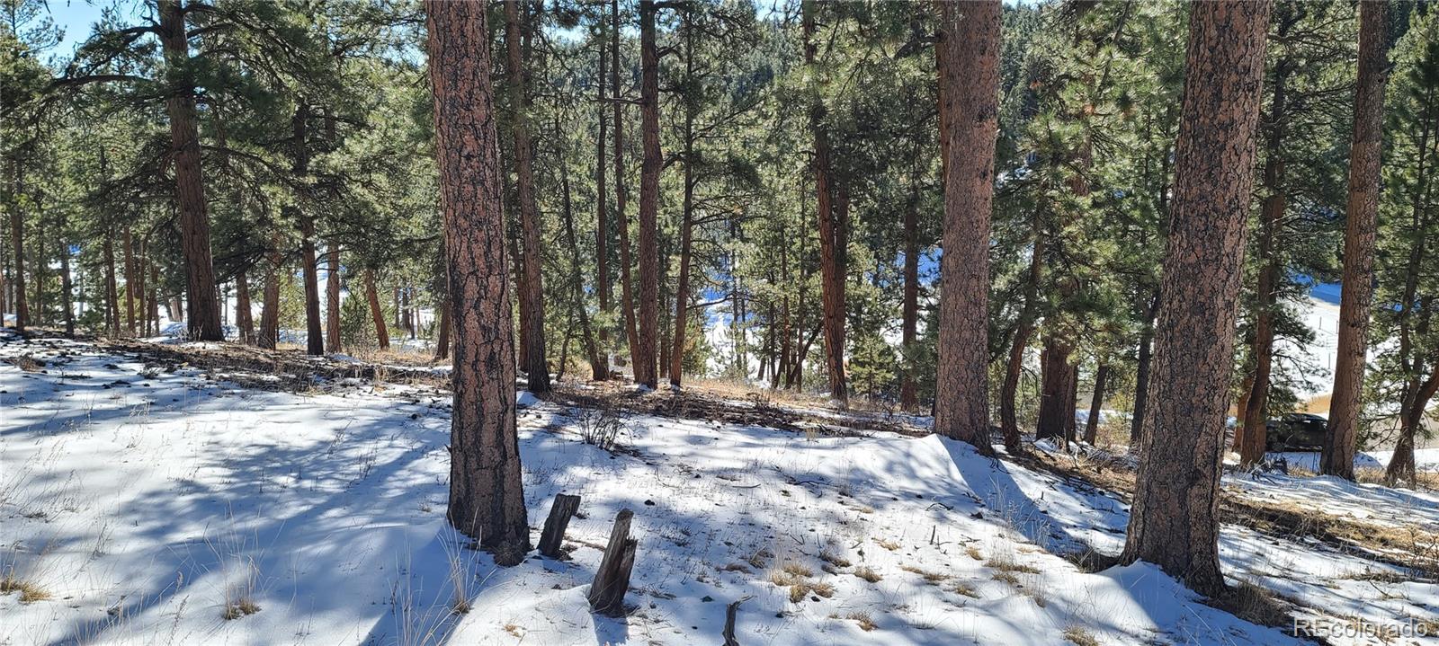 1493 Pinedale Ranch Circle Evergreen CO 80439