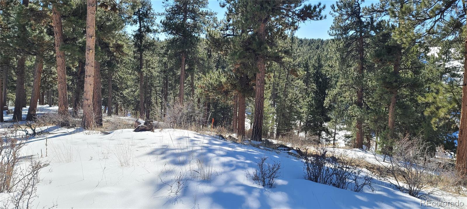 1493 Pinedale Ranch Circle Evergreen CO 80439