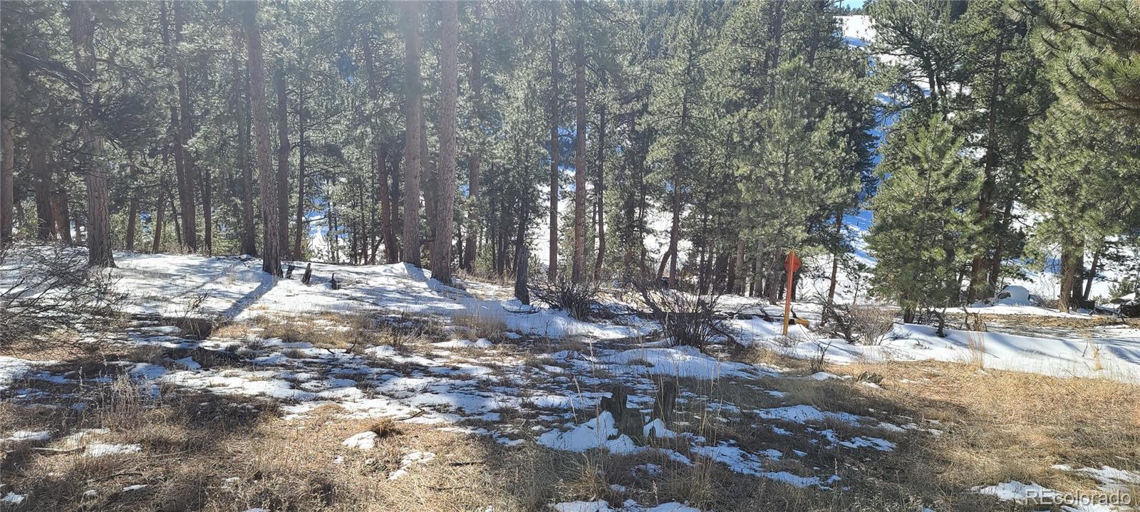 1493 Pinedale Ranch Circle Evergreen CO 80439