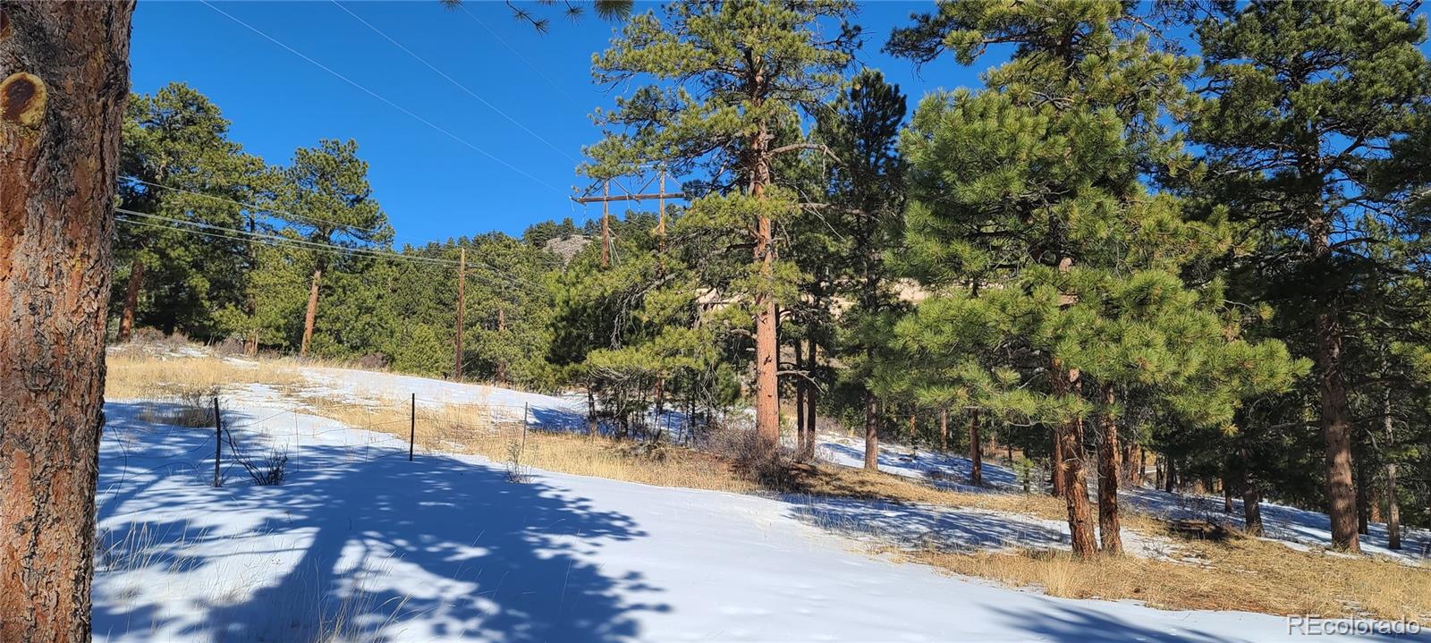 1493 Pinedale Ranch Circle Evergreen CO 80439