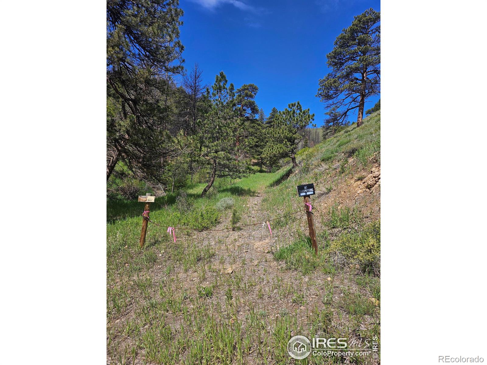 0 Tbd County Road 69 Bellvue CO 80512