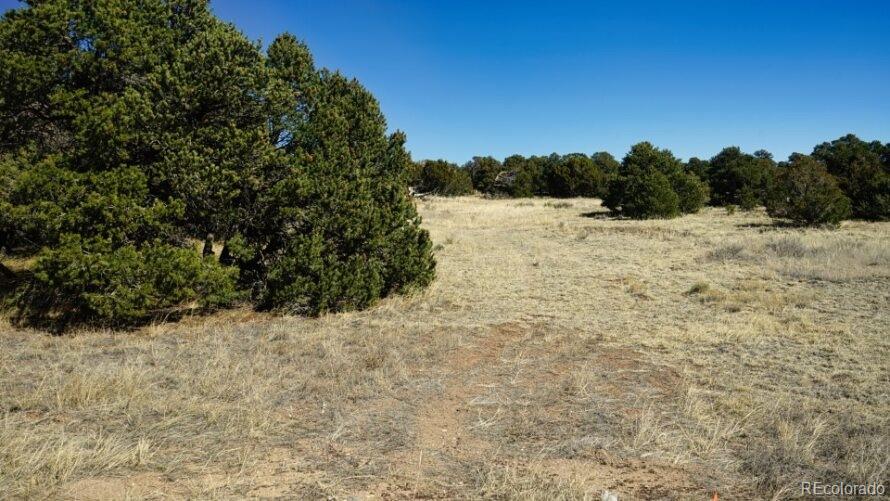 127 Navajo Ranch Resorts Walsenburg CO 81089