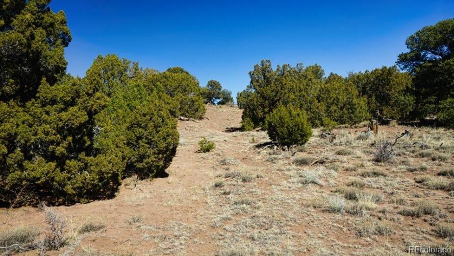 127 Navajo Ranch Resorts Walsenburg CO 81089