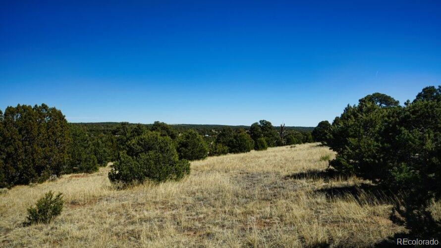 127 Navajo Ranch Resorts Walsenburg CO 81089