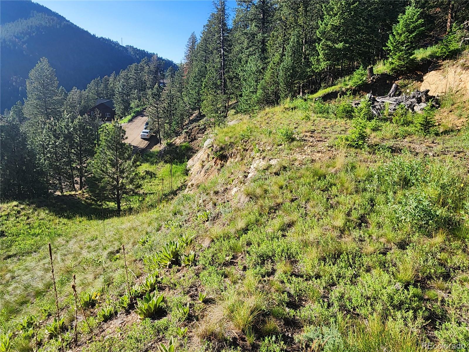 900 Elk Valley Drive Evergreen CO 80439