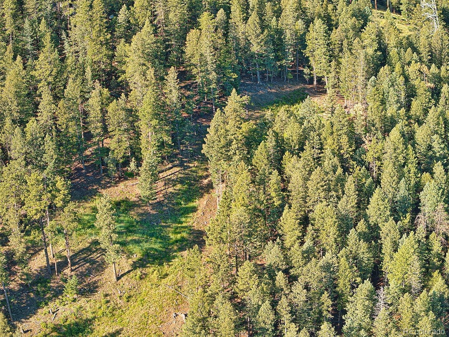 900 Elk Valley Drive Evergreen CO 80439