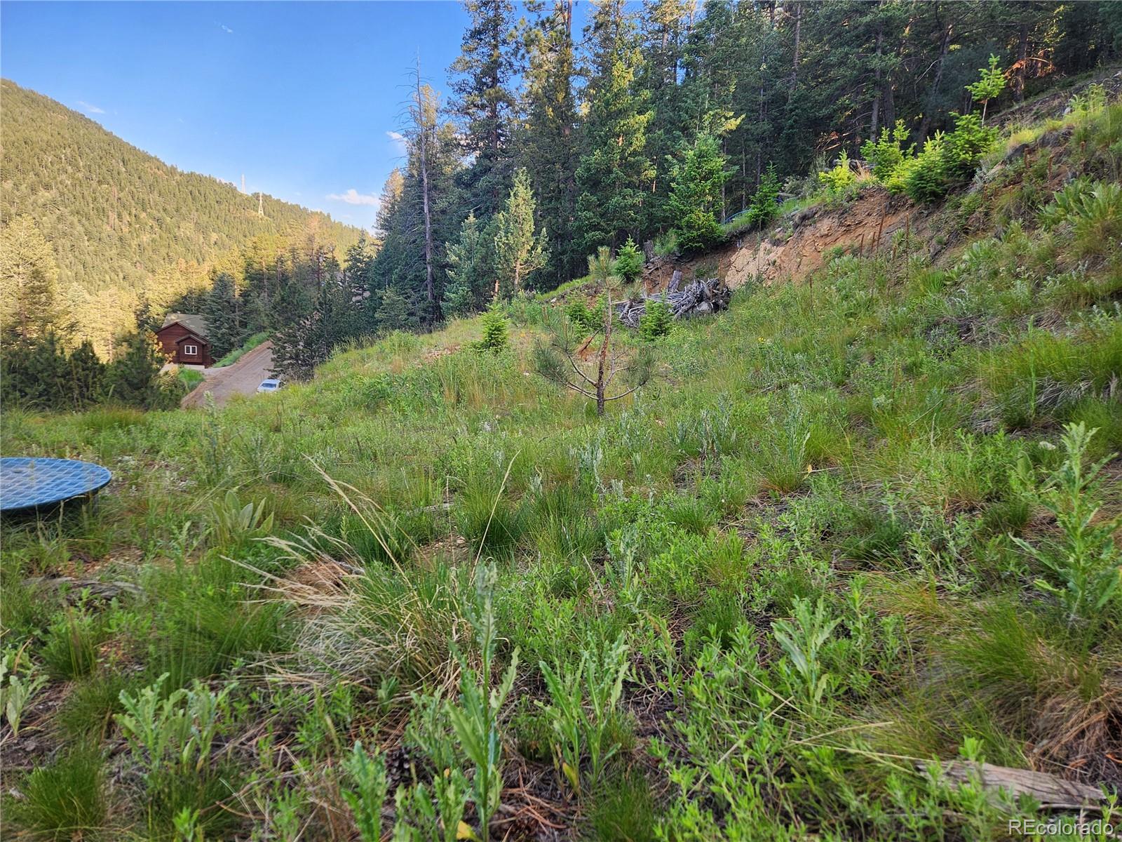900 Elk Valley Drive Evergreen CO 80439