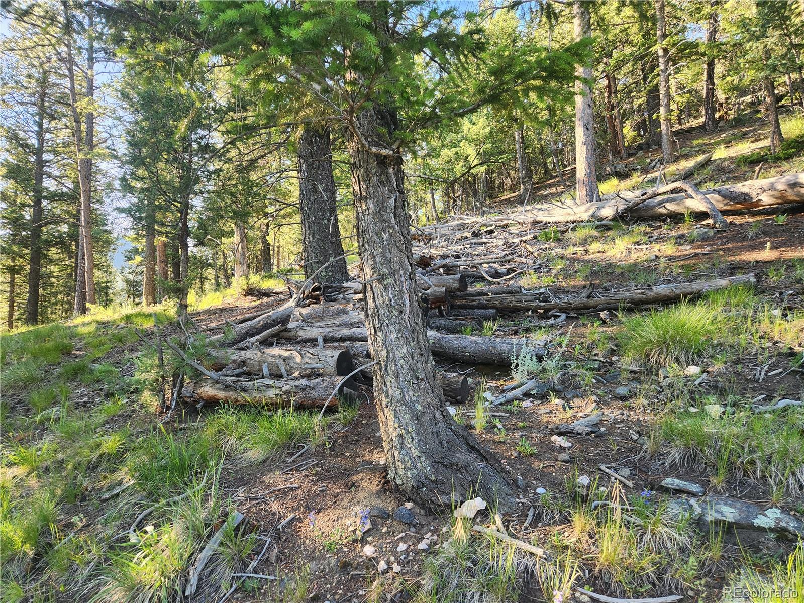 900 Elk Valley Drive Evergreen CO 80439