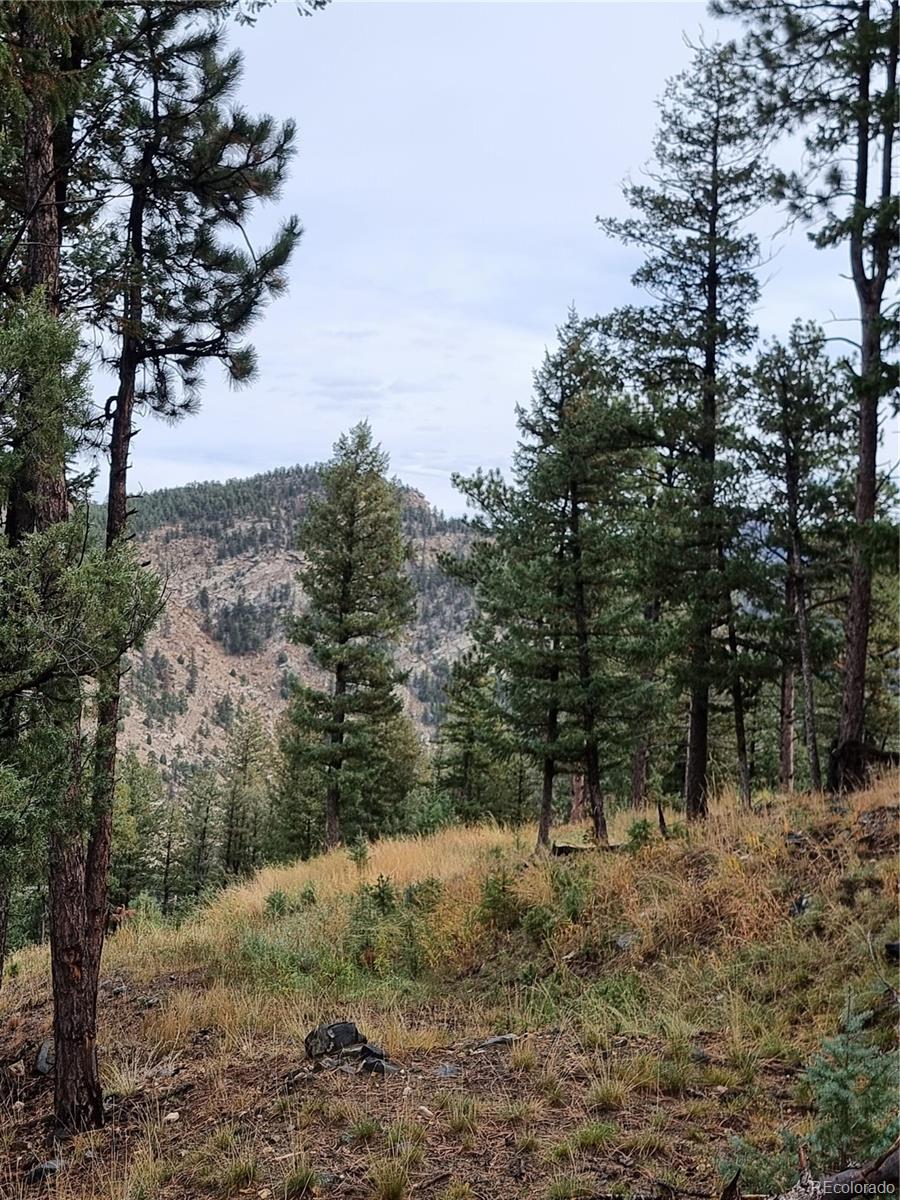 900 Elk Valley Drive Evergreen CO 80439