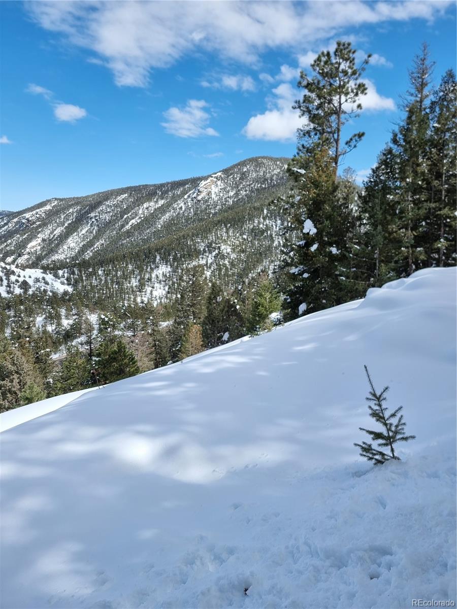 900 Elk Valley Drive Evergreen CO 80439