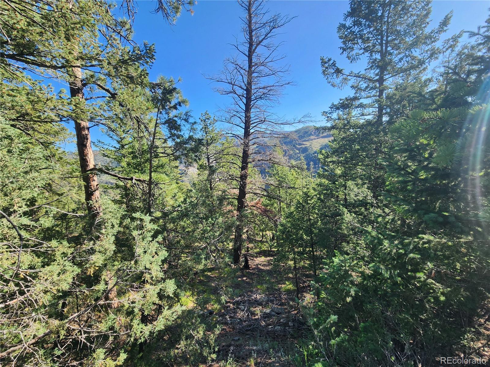 900 Elk Valley Drive Evergreen CO 80439