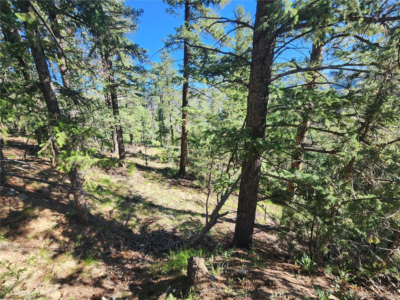 900 Elk Valley Drive Evergreen CO 80439