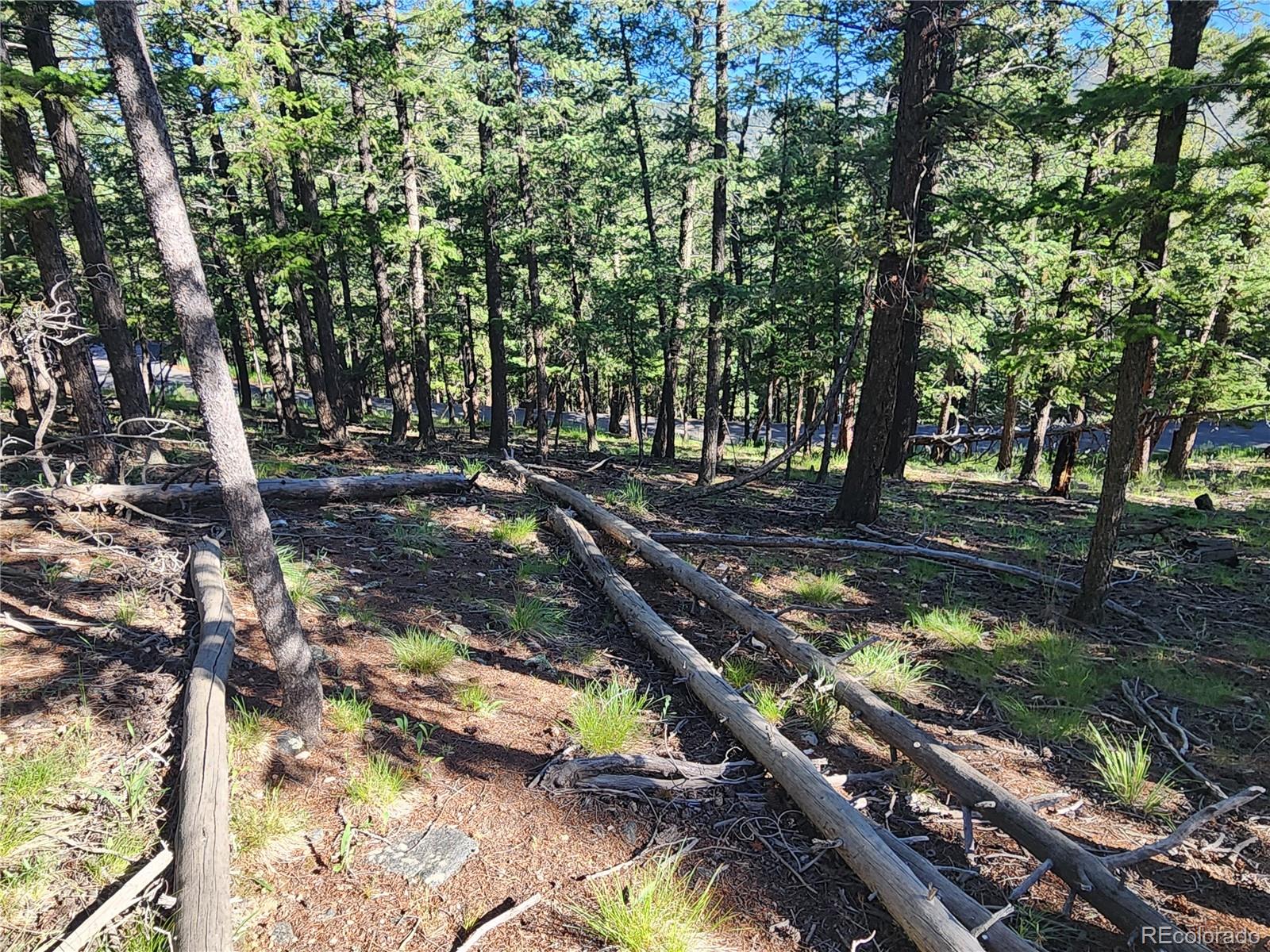 900 Elk Valley Drive Evergreen CO 80439