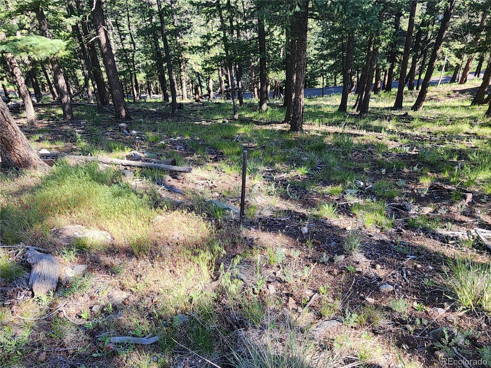 900 Elk Valley Drive Evergreen CO 80439