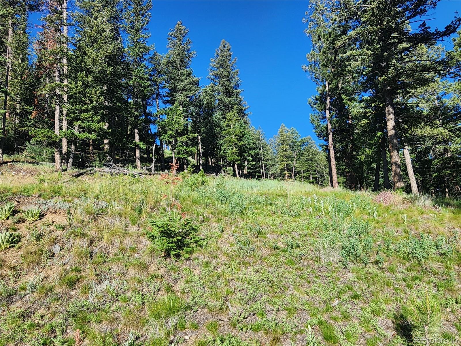 900 Elk Valley Drive Evergreen CO 80439