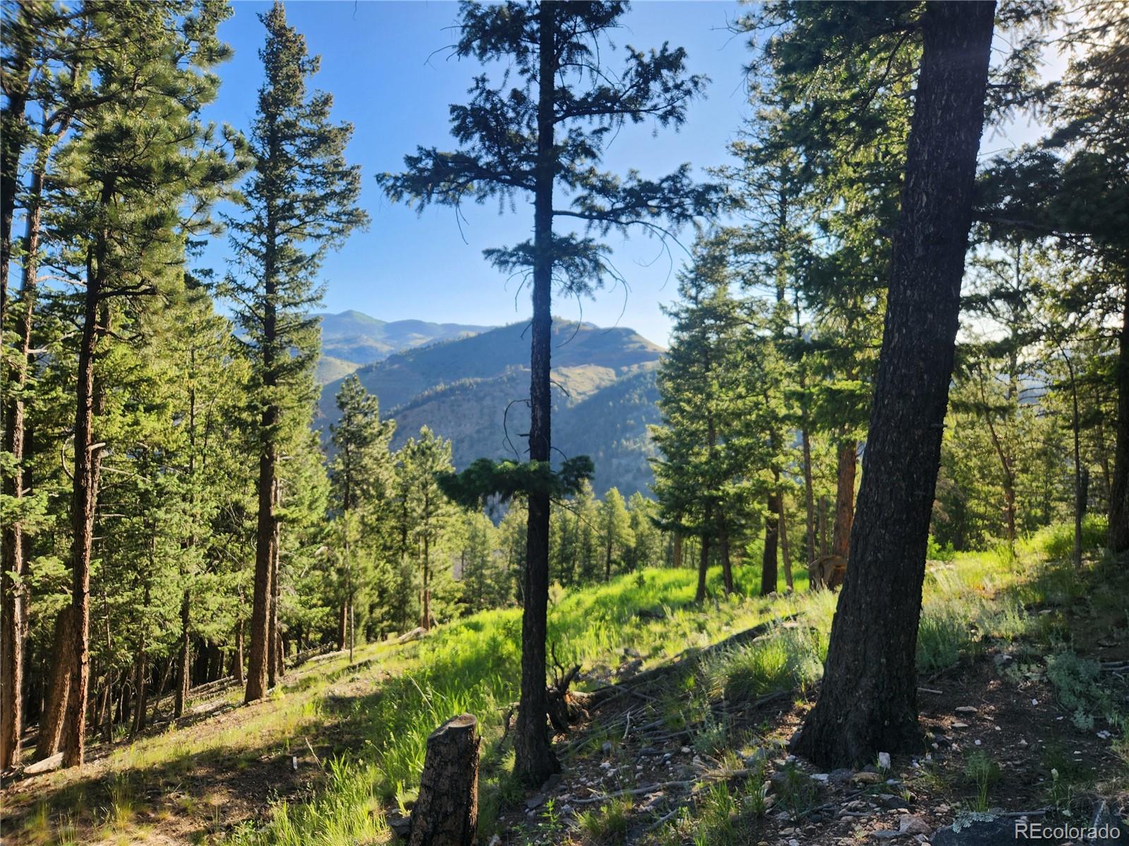 900 Elk Valley Drive Evergreen CO 80439