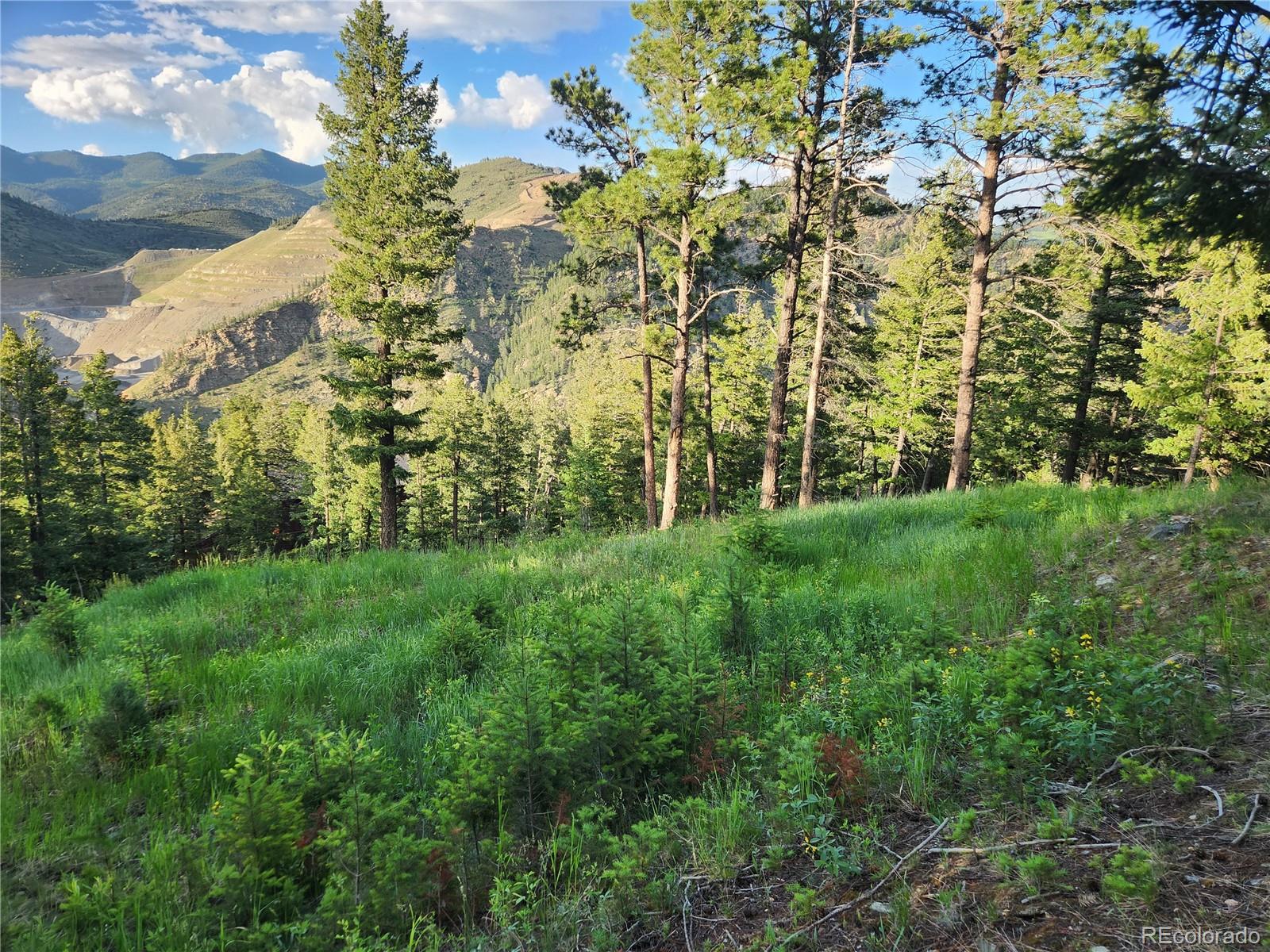 900 Elk Valley Drive Evergreen CO 80439