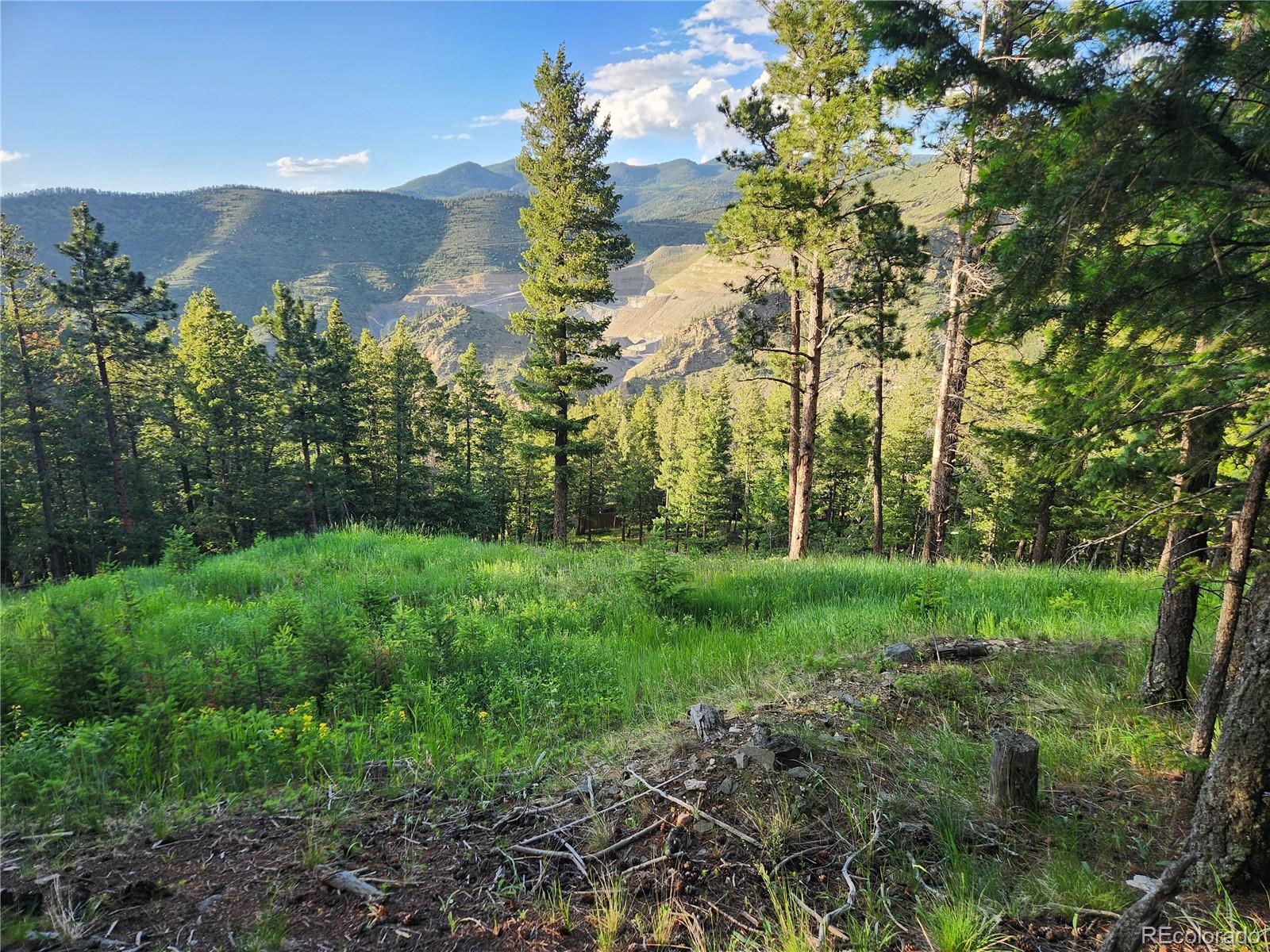 900 Elk Valley Drive Evergreen CO 80439