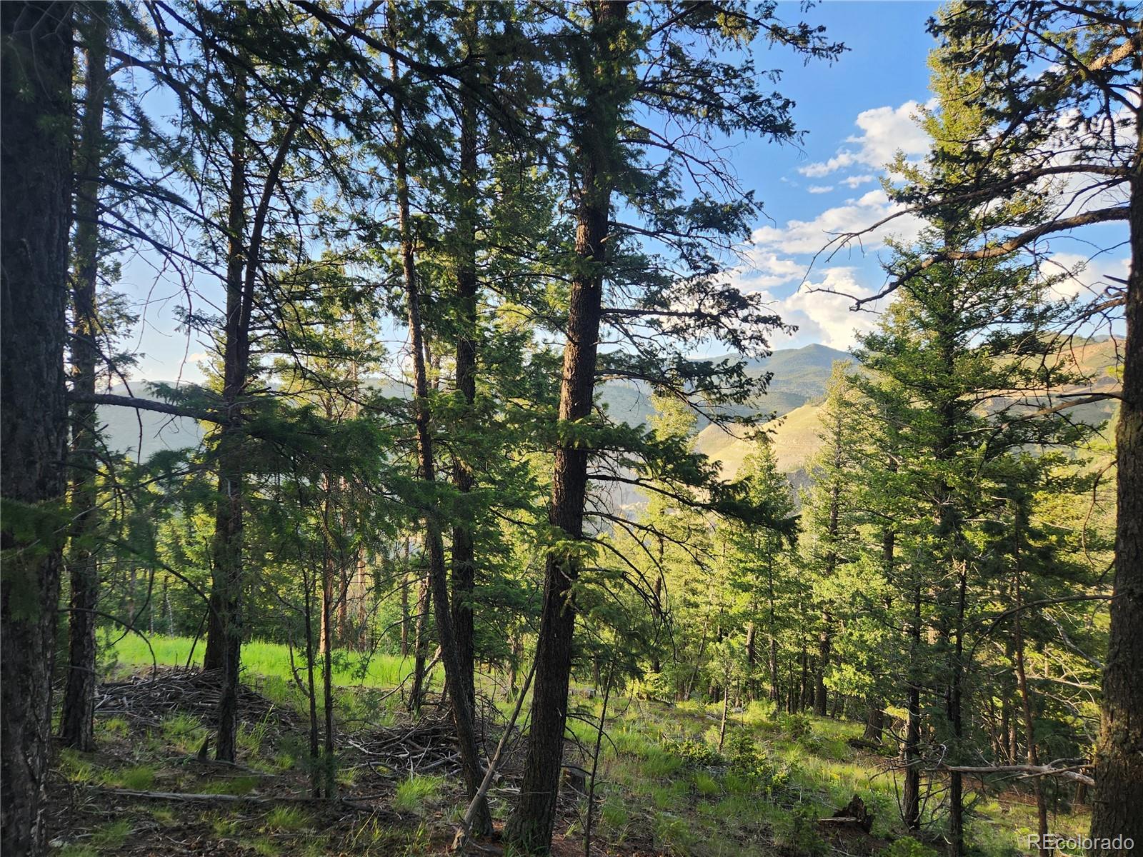 900 Elk Valley Drive Evergreen CO 80439