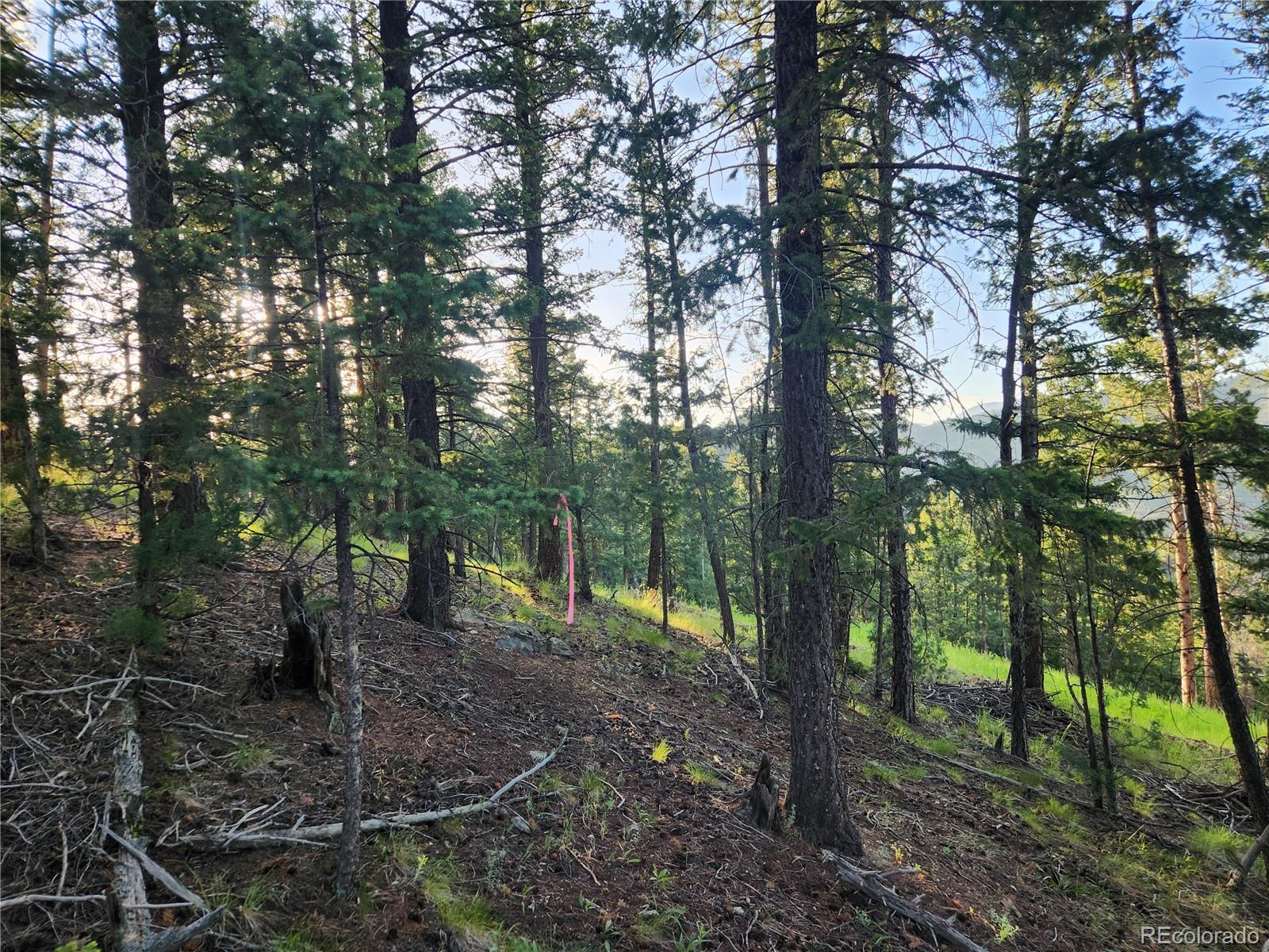 900 Elk Valley Drive Evergreen CO 80439