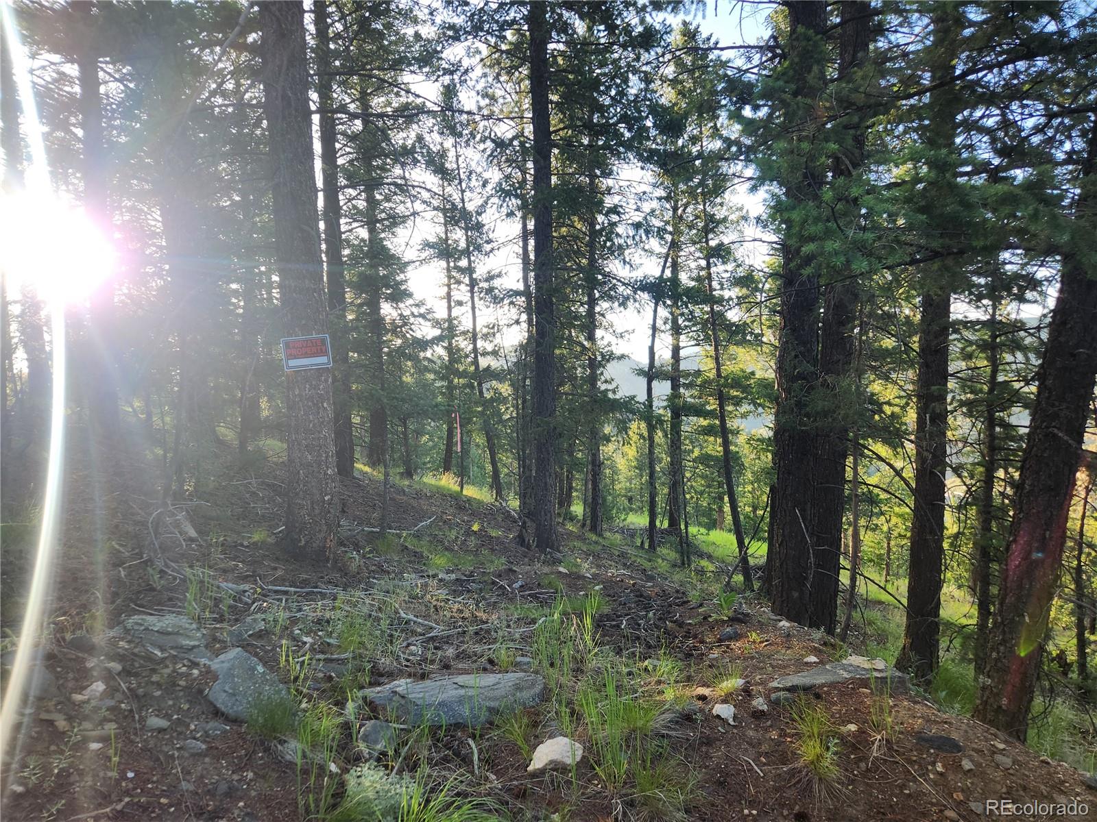 900 Elk Valley Drive Evergreen CO 80439