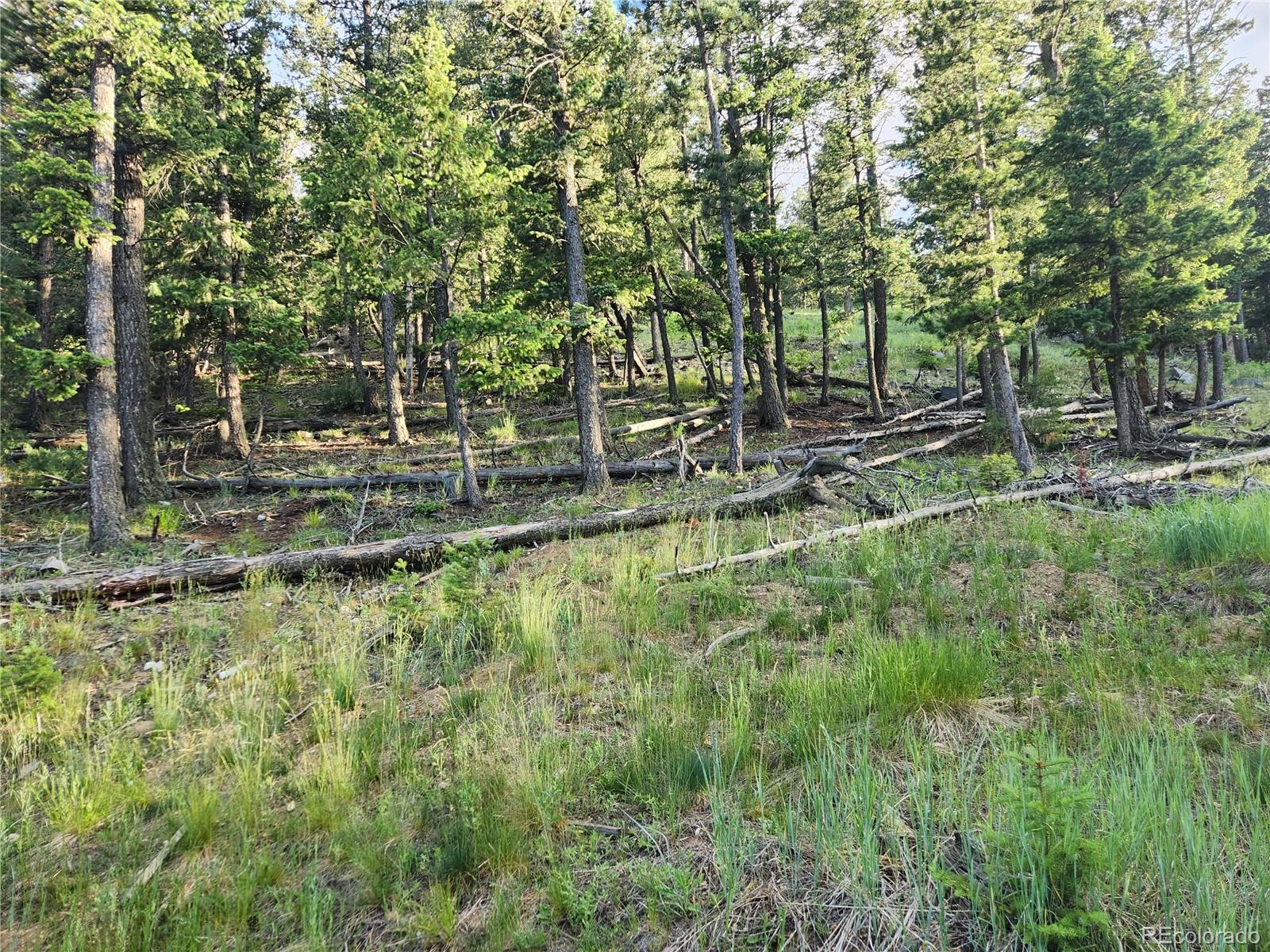 900 Elk Valley Drive Evergreen CO 80439