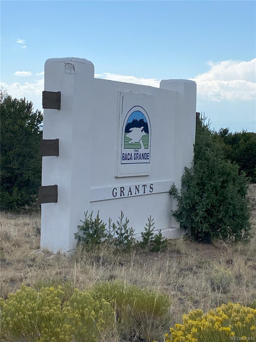 1580 Powderhorn Trail Crestone CO 81131