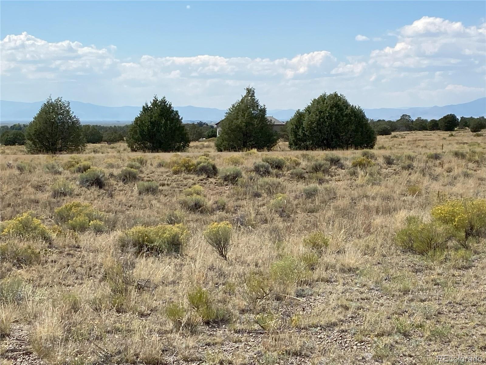 1580 Powderhorn Trail Crestone CO 81131
