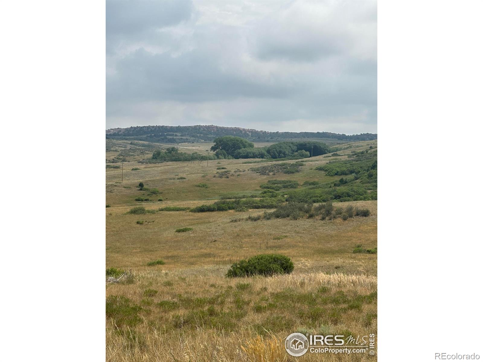 124 Springs Ranch Road Laporte CO 80535