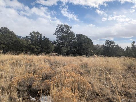 1463 Highwood Crestone CO 81131