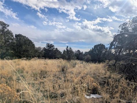 1463 Highwood Crestone CO 81131