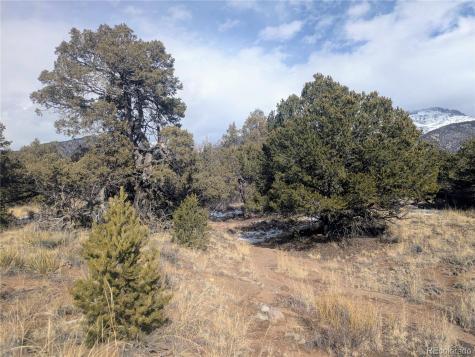 1463 Highwood Crestone CO 81131