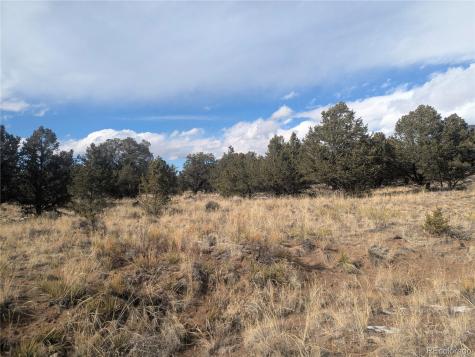 1463 Highwood Crestone CO 81131